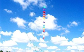 多伦多国际风筝节  娱乐又公益