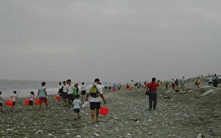 数百人净滩  还原美丽东海岸