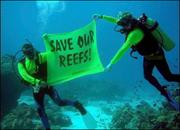 船隻毀損菲國珊瑚礁　綠色和平組織遭罰