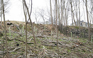 蒙郡重新檢視森林資源保護法