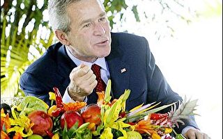 美总统布希大啖巴西烤肉 美味赞不绝口　