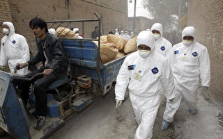內蒙古和湖北發生高致病性禽流感