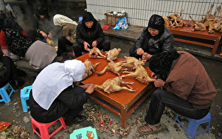 中國農業部:中國防控禽流感不容樂觀