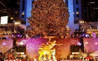 圣诞树点灯 纽约年年赢白宫