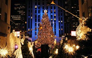 组图：纽约洛克菲勒广场点亮圣诞树