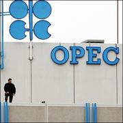 全球能源研究中心：OPEC明年將減產支撐油價