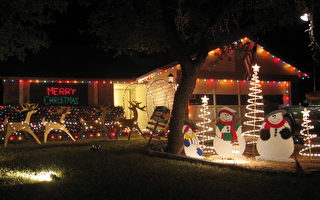 组图：美国家庭的圣诞灯饰
