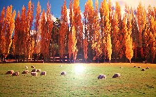 白雲故鄉—─紐西蘭四季風情畫攝影展