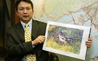 香港野鸟尸验出H5N1禽流