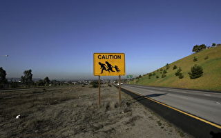 美国加速遣返非法移民
