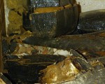 埃及發現完整古代陵墓