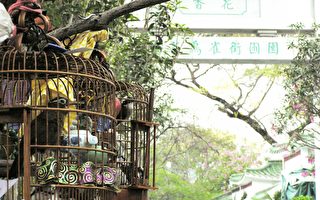图片新闻：港民团周日游行护禽鸟