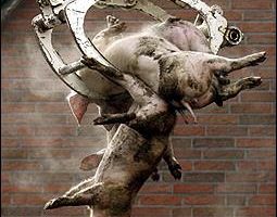 德國北萊因邦爆豬瘟疫情　緊急撲殺兩千豬隻