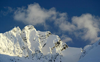 阿拉斯加一年一度的狗拉雪橇竞赛开始