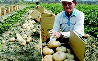 屏東老農田園辛勤 成果分享鄰里