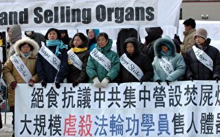 中共迫害卖器官 加拿大法轮功学员绝食抗议