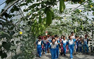 屏东热带农业博览会场续开放观光休闲