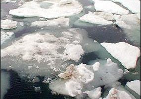 研究：极地融冰可能使海面2100前上升六公尺