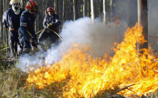馬州自然資源部呼籲民眾限制野外用火