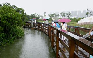 组图：香港湿地公园开放 吸引数千市民