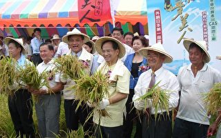 “梦美人”模式 将带动台湾稻米产业蓬勃发展