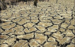 澳大利亚东部干旱严重 深入扩散至内陆地区