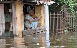 印度洪水  六萬六千人被迫撤離家園