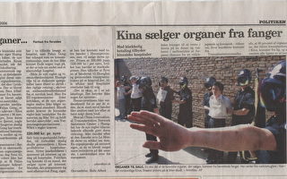 丹麥《政治報》：中國在販賣囚犯器官