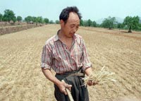 討論：中國農耕地面積逐年減少