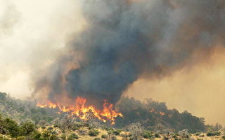 组图: 美国加州山火肆虐 进入紧急状态