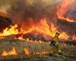 美加州多處野火肆虐  阿諾稱情勢嚴峻