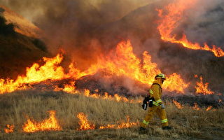 美加州多处野火肆虐  阿诺称情势严峻