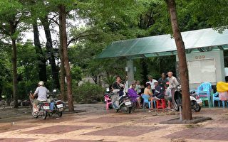嘉义朴子市长青族趁雨稍歇聚公园