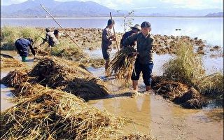 水灾伤亡人数恐达万人 北韩拒绝外援