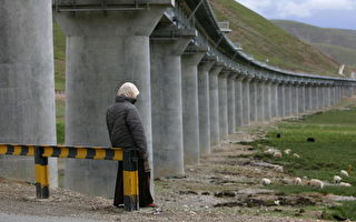 沿線藏人：鐵路對我們沒用