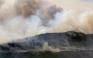 森林大火延燒 西班牙政府急磋商