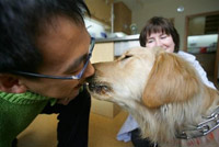 美国人道协会捐款为中国提供狂犬疫苗