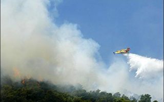 希腊高温四十度  北部森林大火  无人伤亡