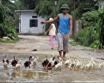 越南湄公河三角洲鸭群发现H5N1禽流感病毒
