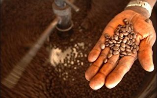 全球供应吃紧  咖啡价格暴涨至七年来最高点