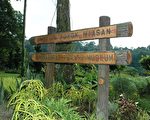 馬來西亞農業公園(2)