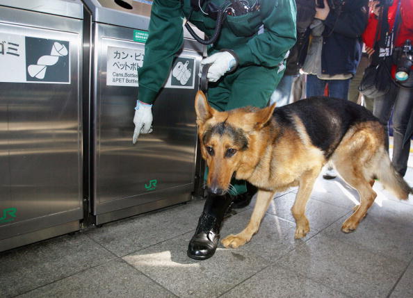 日本文化 拜祭警犬 安息吧 傳統 過勞 靖國神社 大紀元