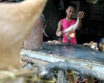 印尼证实第55起禽流感死亡病例