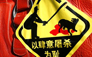 「不要再殺狗」抗議活動 北京封鎖消息