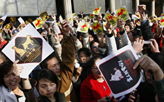 西方媒体关注北京打狗运动