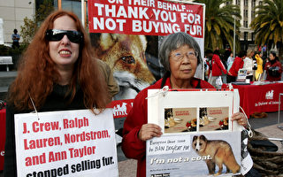 动物保护协会旧金山抗议惨虐动物