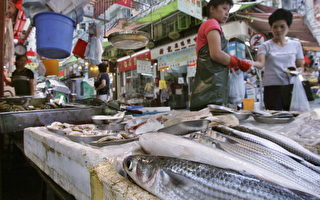 中國含孔雀石綠魚發現抗生素