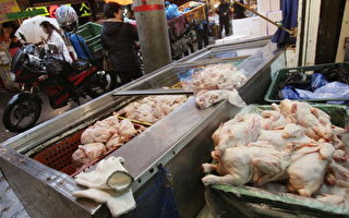 跡象顯示南韓禽流感疫情已擴散