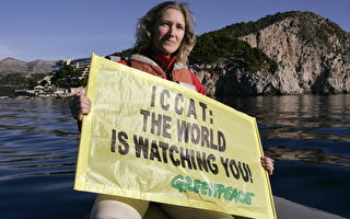 保育团体抨击ICCAT决议敲响黑鲔鱼丧钟