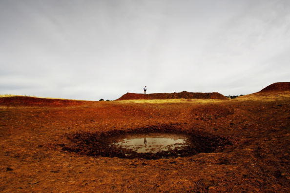 化肥与燃油告急 澳冬季作物面临产量减半风险